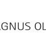 magnus-olesen-as-logo-red_30397644337_o_50.png