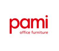 PAMI NV logo